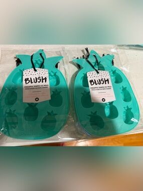 MT Teal Pineapple Silicone Ice Mold